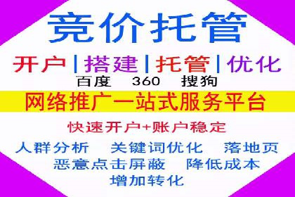 成功SEM托管案例解析